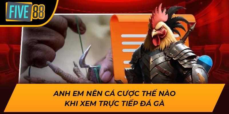 Trải Nghiệm Hấp Dẫn Khi Xem Trực Tiếp Đá Gà Cùng Five88 3 Anh em nên cá cược thế nào khi xem trực tiếp đá gà